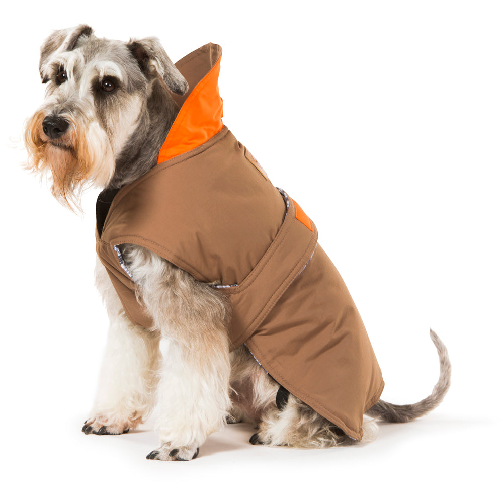 Brown Dog Coat 35cm