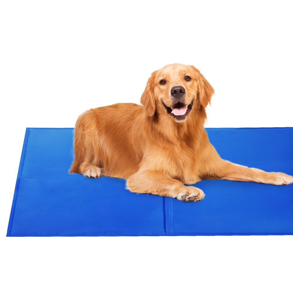 2X Pet Cooling Bed Gel Mat Dog Cat Non-Toxic Cool Pad Puppy Cold Summer 50x40 CM
